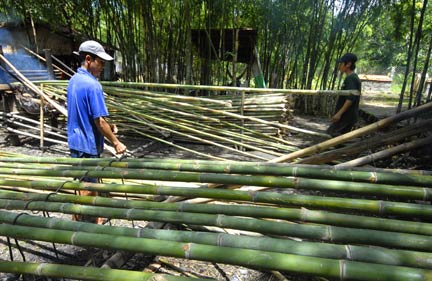 Cây Tre cứu người